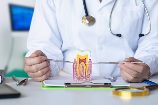 Best Emergency Root Canal Treatment in Shaw Heights, CO